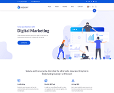 High DR by AHREFs